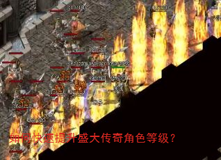 如何快速提升盛大传奇角色等级? 如何快速提升盛大传奇角色等级?