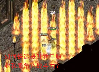 如何快速提升新单职业私服角色战斗力? 如何快速提升新单职业私服角色战斗力?