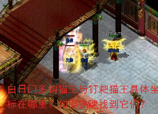 �����Ŷ๳è���붤��è�����������������ο����ҵ����ǣ�