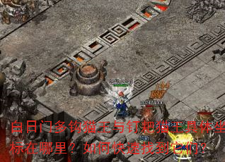 �����Ŷ๳è���붤��è�����������������ο����ҵ����ǣ�