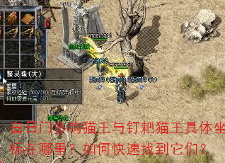�����Ŷ๳è���붤��è�����������������ο����ҵ����ǣ�