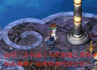 �����Ŷ๳è���붤��è�����������������ο����ҵ����ǣ�