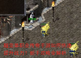 ���䵥ְҵ����������ο�������ս�������ֹ���ȫ����