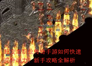 ���䵥ְҵ����������ο�������ս�������ֹ���ȫ����
