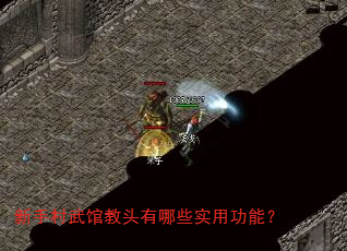 新手村武馆教头有哪些实用功能? 新手村武馆教头有哪些实用功能?