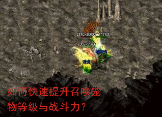 如何快速提升召唤宠物等级与战斗力? 如何快速提升召唤宠物等级与战斗力?
