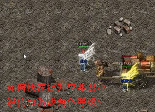 如何快速提升李兆君小说传奇游戏角色等级? 如何快速提升李兆君小说传奇游戏角色等级?