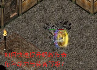 如何快速提升蚂蚁传奇角色战力与装备等级? 如何快速提升蚂蚁传奇角色战力与装备等级?