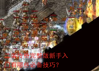 二蛋传奇完整版新手入门有哪些必备技巧? 二蛋传奇完整版新手入门有哪些必备技巧?