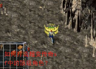 如何打造超变传奇sf中的顶级角色? 如何打造超变传奇sf中的顶级角色?
