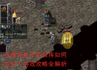 ����Ӣ�۲���ָ�����Ӧ�ԣ���Ϸ����ȫ����