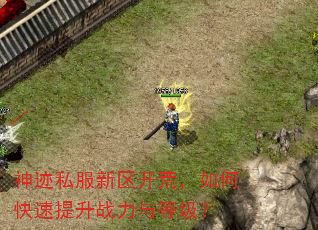 神迹私服新区开荒,如何快速提升战力与等级? 神迹私服新区开荒,如何快速提升战力与等级?