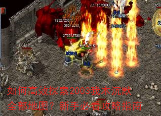 ��θ�Ч̽��2003�ұ���Ĭȫ����ͼ�����ֱؿ�����ָ��