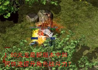 1.80火龙最新版本中如何快速提升角色战斗力? 1.80火龙最新版本中如何快速提升角色战斗力?
