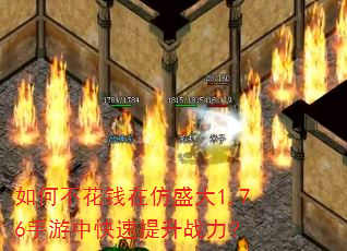��β���Ǯ�ڷ�ʢ��1.76�����п�������ս����