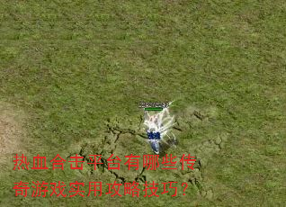 热血合击平台有哪些传奇游戏实用攻略技巧? 热血合击平台有哪些传奇游戏实用攻略技巧?