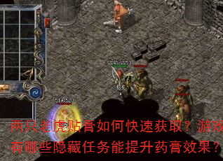两只老虎贴膏如何快速获取?游戏内有哪些隐藏任务能提升药膏效果? 两只老虎贴膏如何快速获取?游戏内有哪些隐藏任务能提升药膏效果?