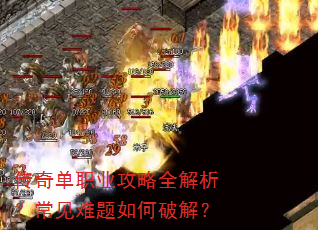 ���浥ְҵ����ȫ������������������ƽ⣿